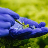Lorem ipsum dolor sit amet,consectetur adipiscing elit